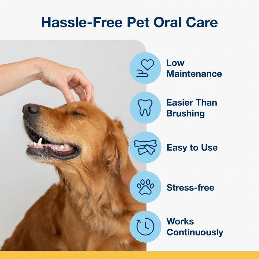 LocalID_69580 ProDen - PlaqueOff Dog Mini Dental Care Bones VEGETABLE and BLUEBERRY Dog Chew - 340GM