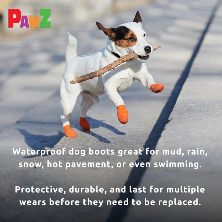 Pawz - Rubber Dog Boots - ORANGE - XSMALL - Up to 5CM (2in) - 12PK