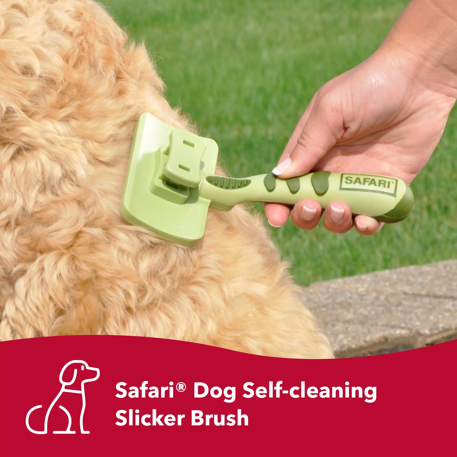 LocalID_70606 Coastal - Self Cleaning Slicker Brush - LARGE - 12CM (5in) Wide
