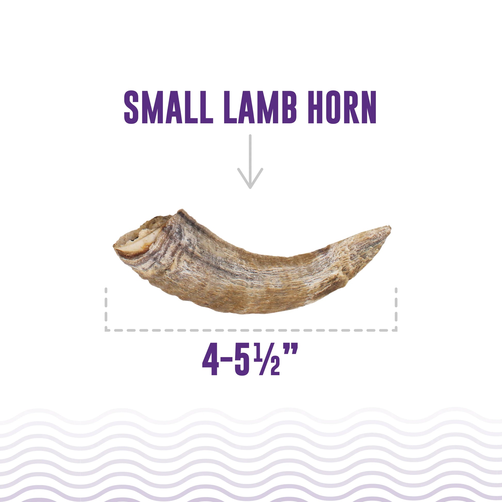 LocalID_68490 Icelandic+ - LAMB Horn with Marrow Dog Chew - SMALL - 10-14CM (4-5.5in)