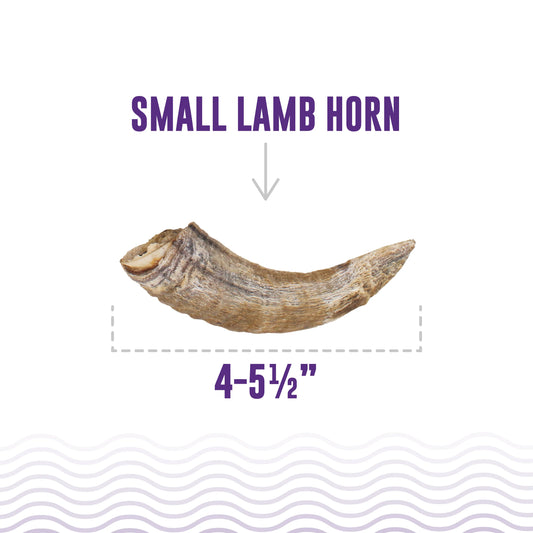 LocalID_68490 Icelandic+ - LAMB Horn with Marrow Dog Chew - SMALL - 10-14CM (4-5.5in)