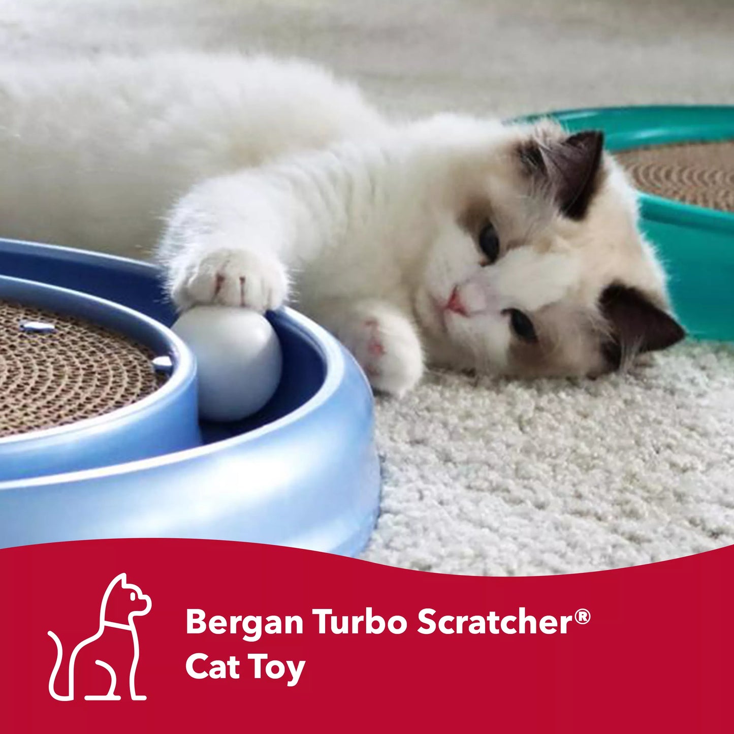 LocalID_69211 Coastal - Bergan Turbo Scratcher With Ball & Scratch Pad Center - 40.6CM (16in)