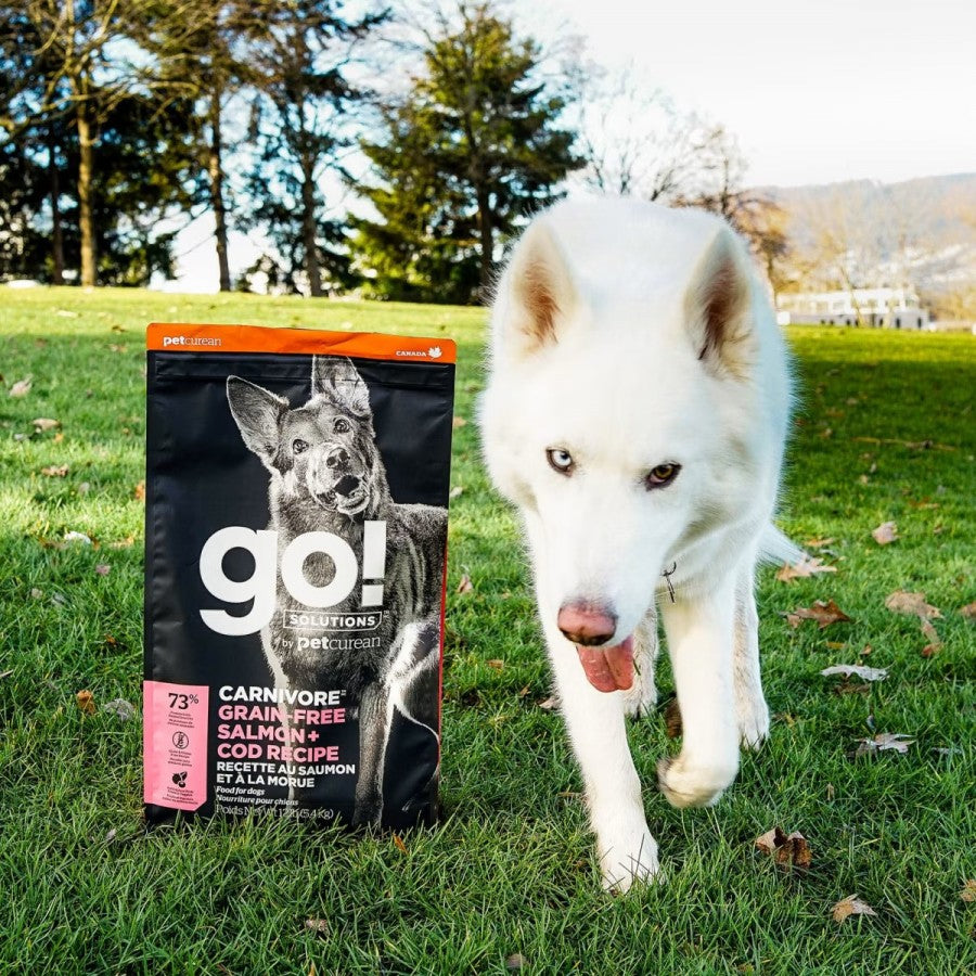 *S.O. - Up to 2 Week Wait* Petcurean - GO! Carnivore GF SALMON AND COD ADULT Dry Dog Food - 9.98KG (22lb)