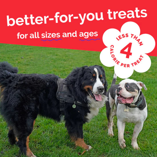 LocalID_71494 Fruitables - Skinny Minis APPLE BACON Chewy Dog Treats - 340GM (12oz)