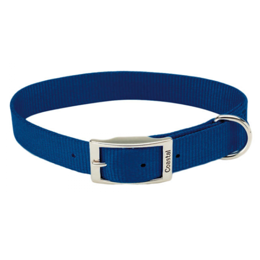 *DISC* Coastal - Standard Buckle Nylon Dog Collar - BLUE - 2.5 x 56CM (1 x 22in)