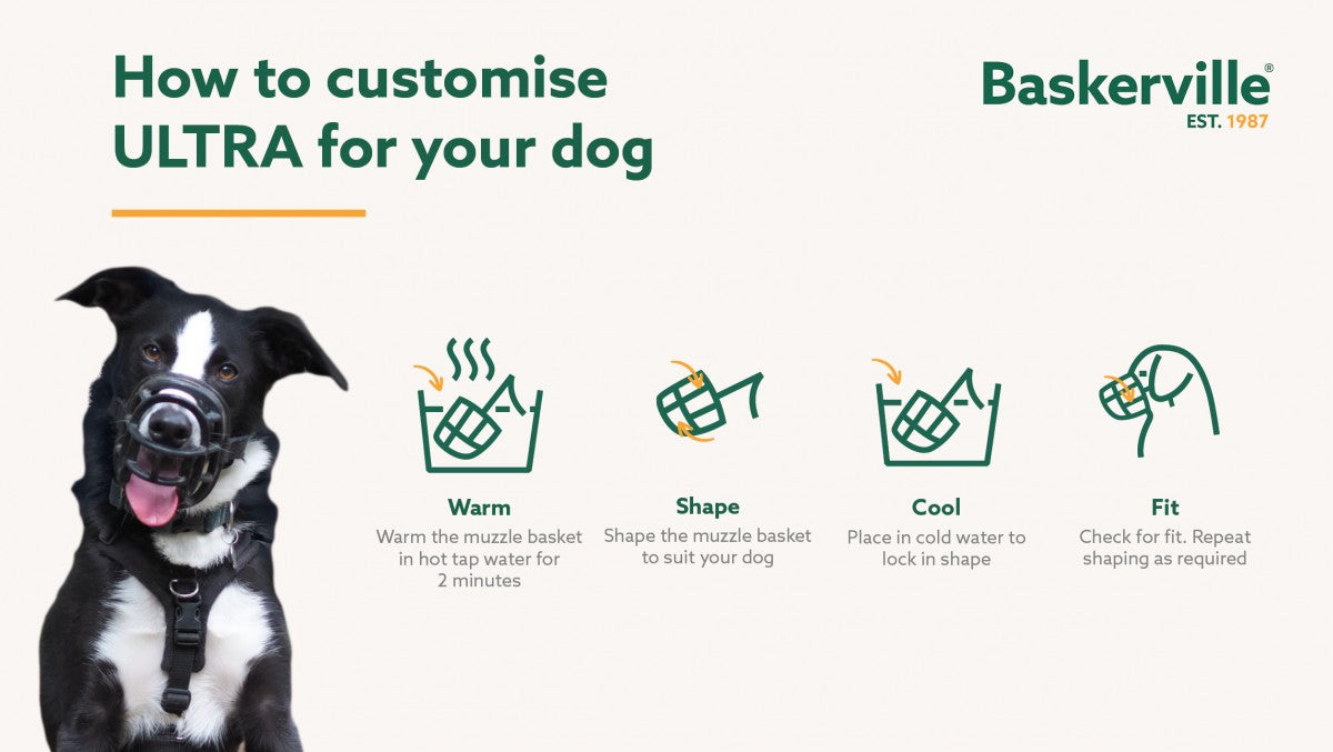 LocalID_70261 Company of Animals - Baskerville Ultra Dog Muzzle - Black - Size 1