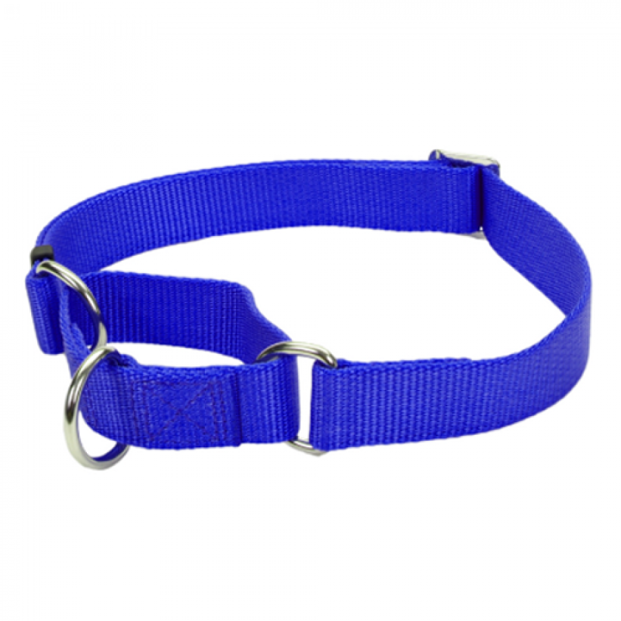 *DISC* Coastal - No Slip Adjustable MARTINGALE Dog Collar - BLUE - SMALL - 5/8 x 10-14in