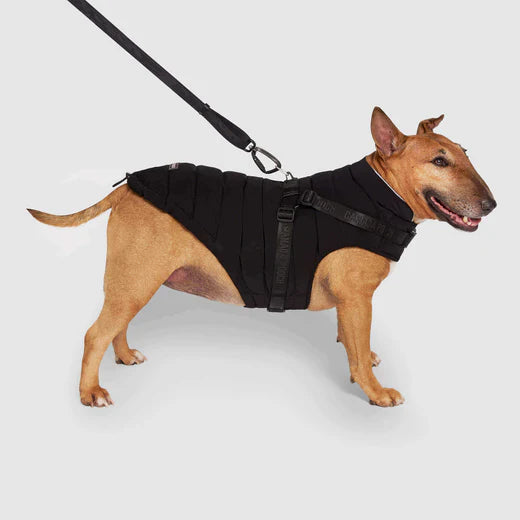 *DNR* Canada Pooch - The Harness Puffer - BLACK - Size 16