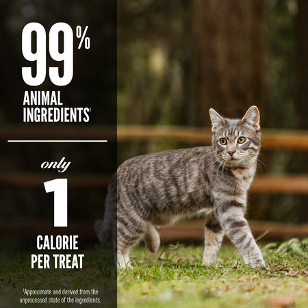 LocalID_65780 Champion Foods - Orijen - Freeze-Dried SIX FISH Cat Treats - 35GM (1.25oz)