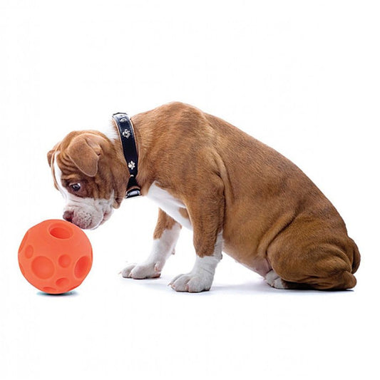 LocalID_70036 Omega Paw - Tricky Treat Ball Dog Toy - SMALL - 7CM (2.8in)