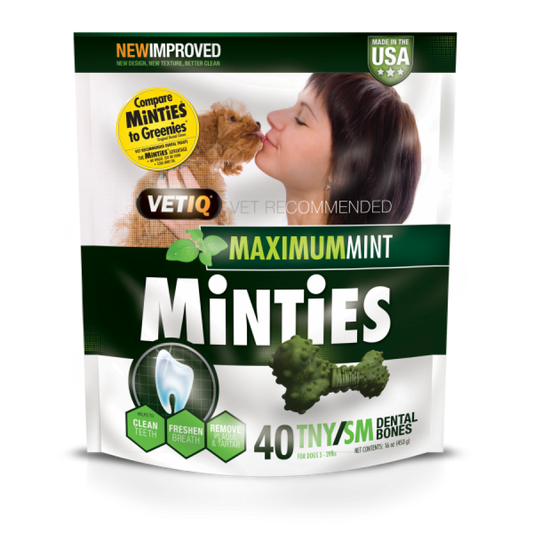 LocalID_69599 VetIQ - Minties Maximum MINT DENTAL Bones Dog Treat - TNY/SM - 453GM (16oz) - 40CT