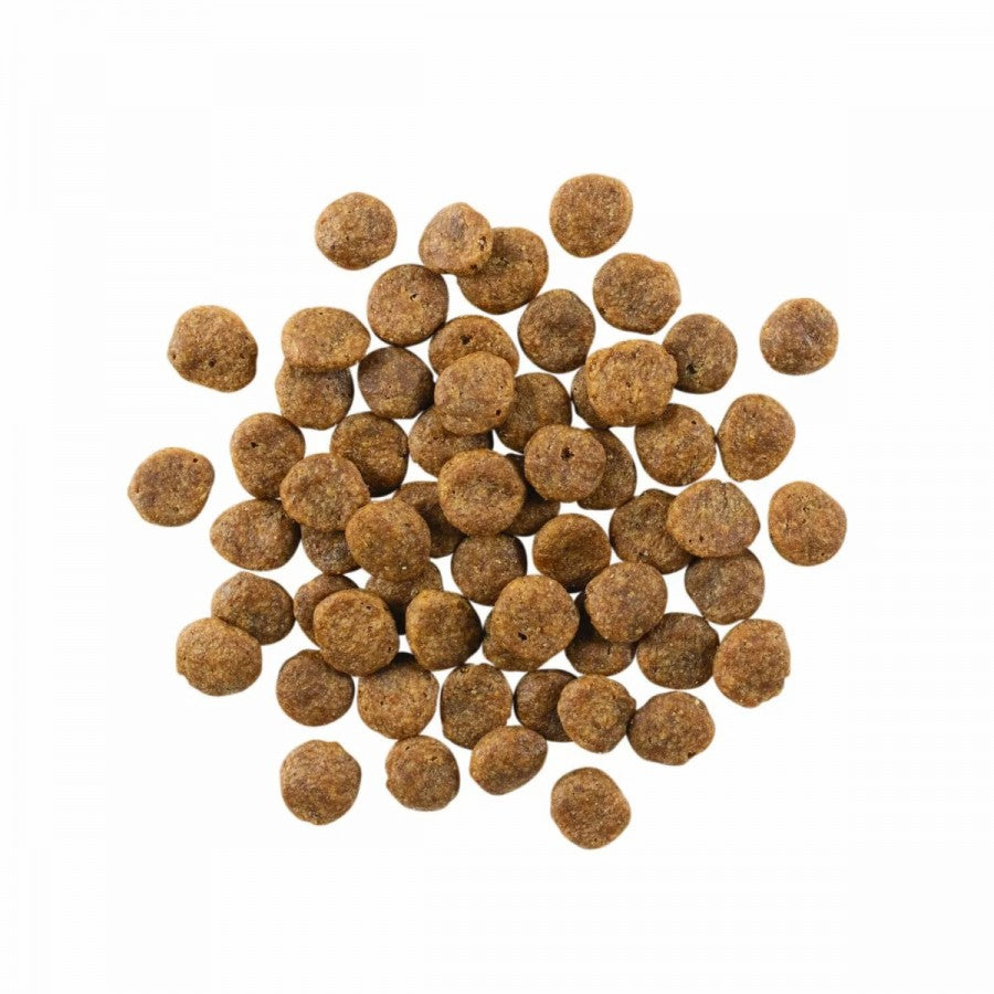 LocalID_67786 Petcurean - GO! Sensitivities GF LID SALMON Dry Dog Food - 9.98KG (22lb)