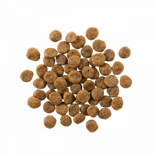 LocalID_67786 Petcurean - GO! Sensitivities GF LID SALMON Dry Dog Food - 9.98KG (22lb)