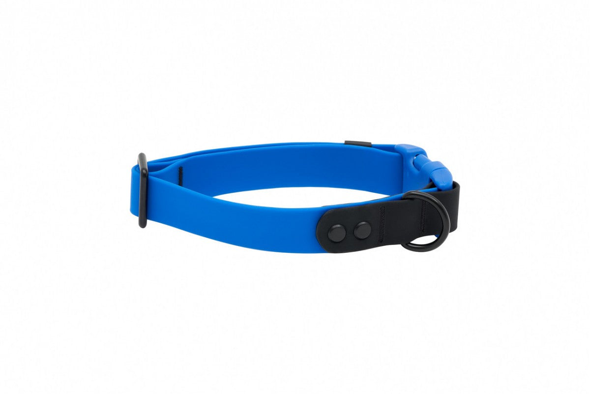 RC Pets - Waterproof Collar - SAPPHIRE BLACK - LARGE - 1in x 15-25in