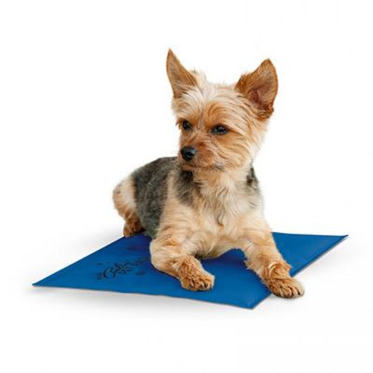 LocalID_34993 K and H - Coolin Pad - BLUE - SMALL - 28 x 38.1CM (11x15in)