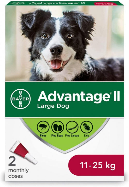 Bayer - K9 Advantage® II Large Dog Once-A-Month Topical Flea Treatment - 11 to 25KG - 2 Doses