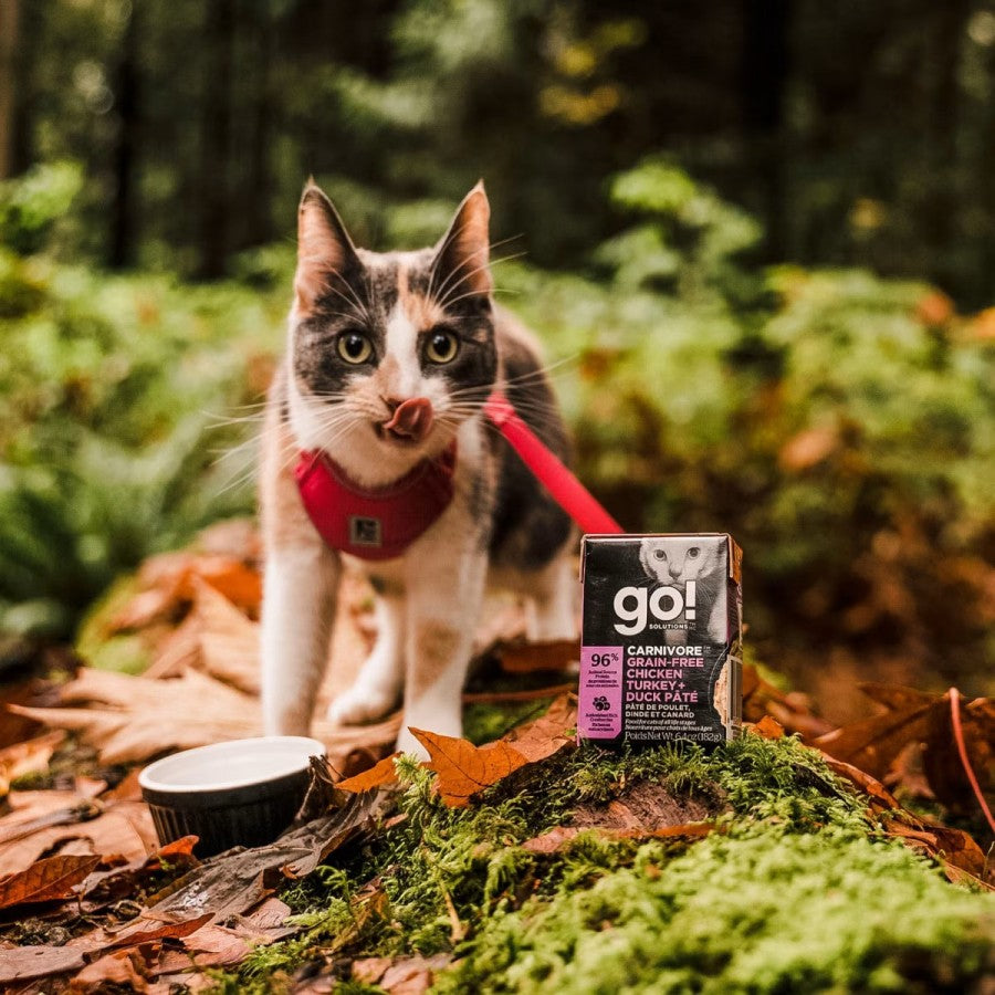 LocalID_65216 Petcurean - GO! Carnivore GF CHICKEN TURKEY DUCK Wet Cat Food - 182GM (6.4oz)