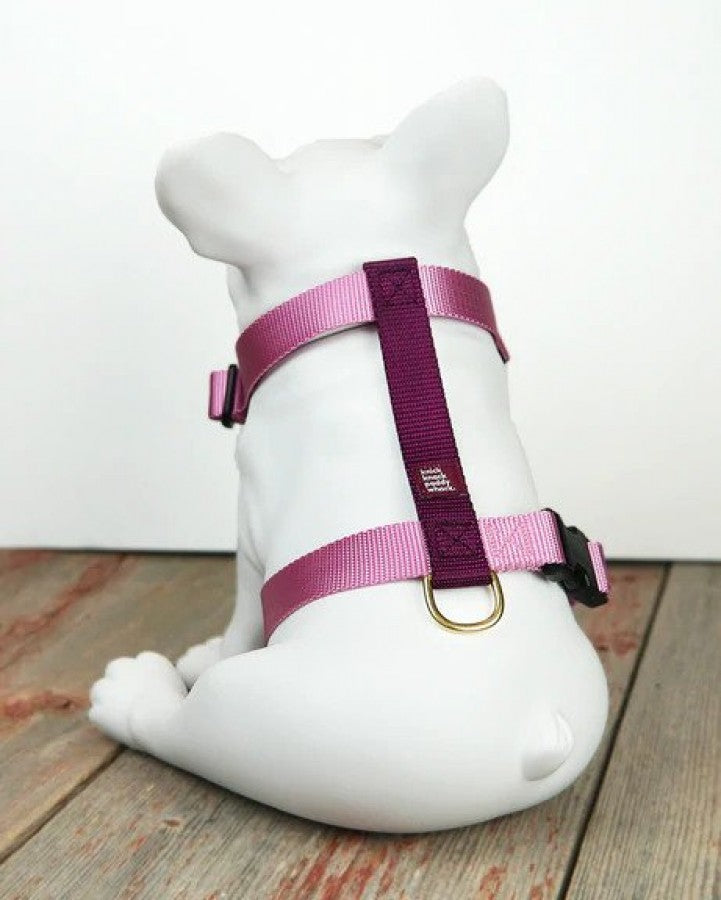 Knick Knack Paddy Whack - Dog Harness - ROSE & PURPLE - SMALL - 12-19in