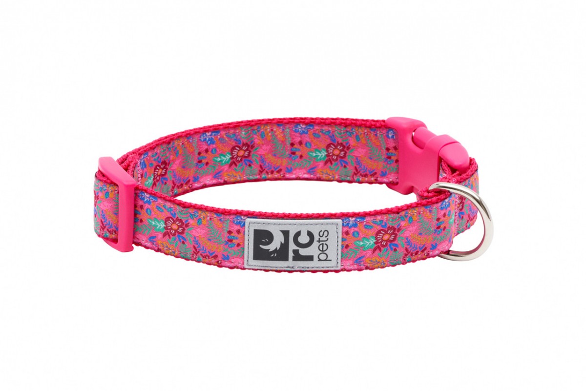 RC Pets - Clip Collar - FRIDA - SMALL - 0.7in x 9-13in