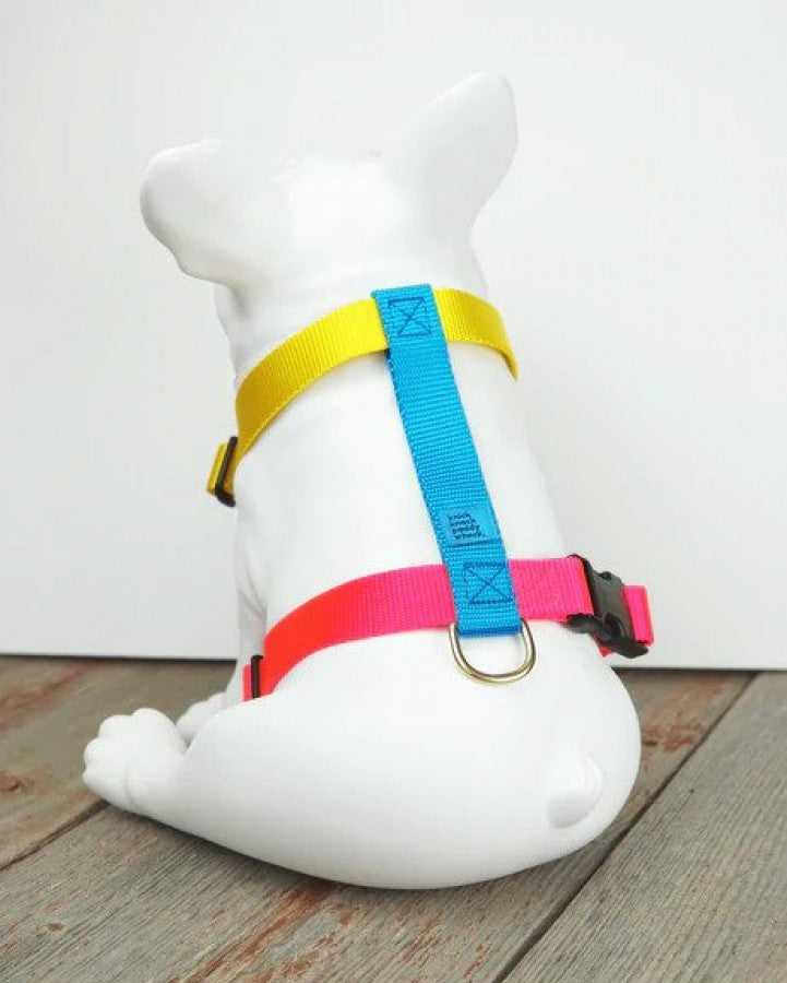 Knick Knack Paddy Whack - Dog Harness - JUBILEE - SMALL - 12-19in