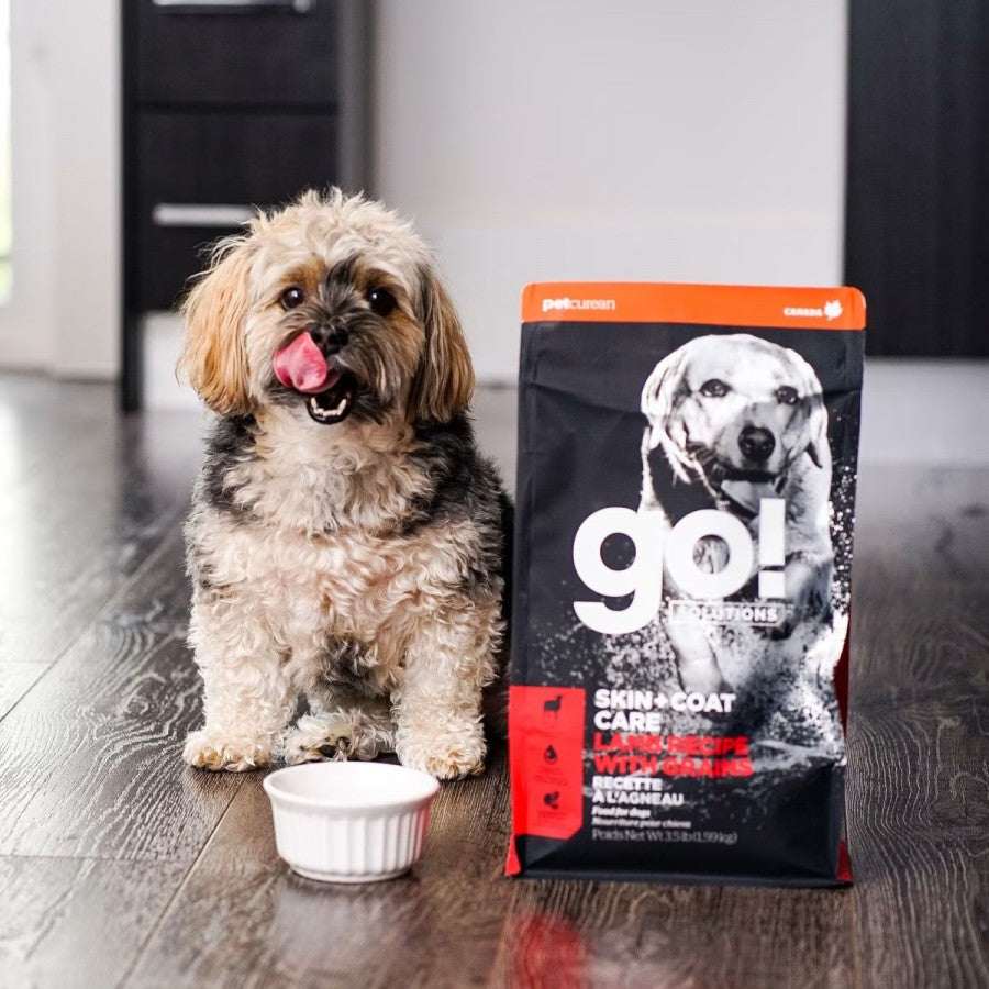 LocalID_66615 Petcurean - GO! Skin and Coat LAMB Dry Dog Food - 5.44KG (12lb)