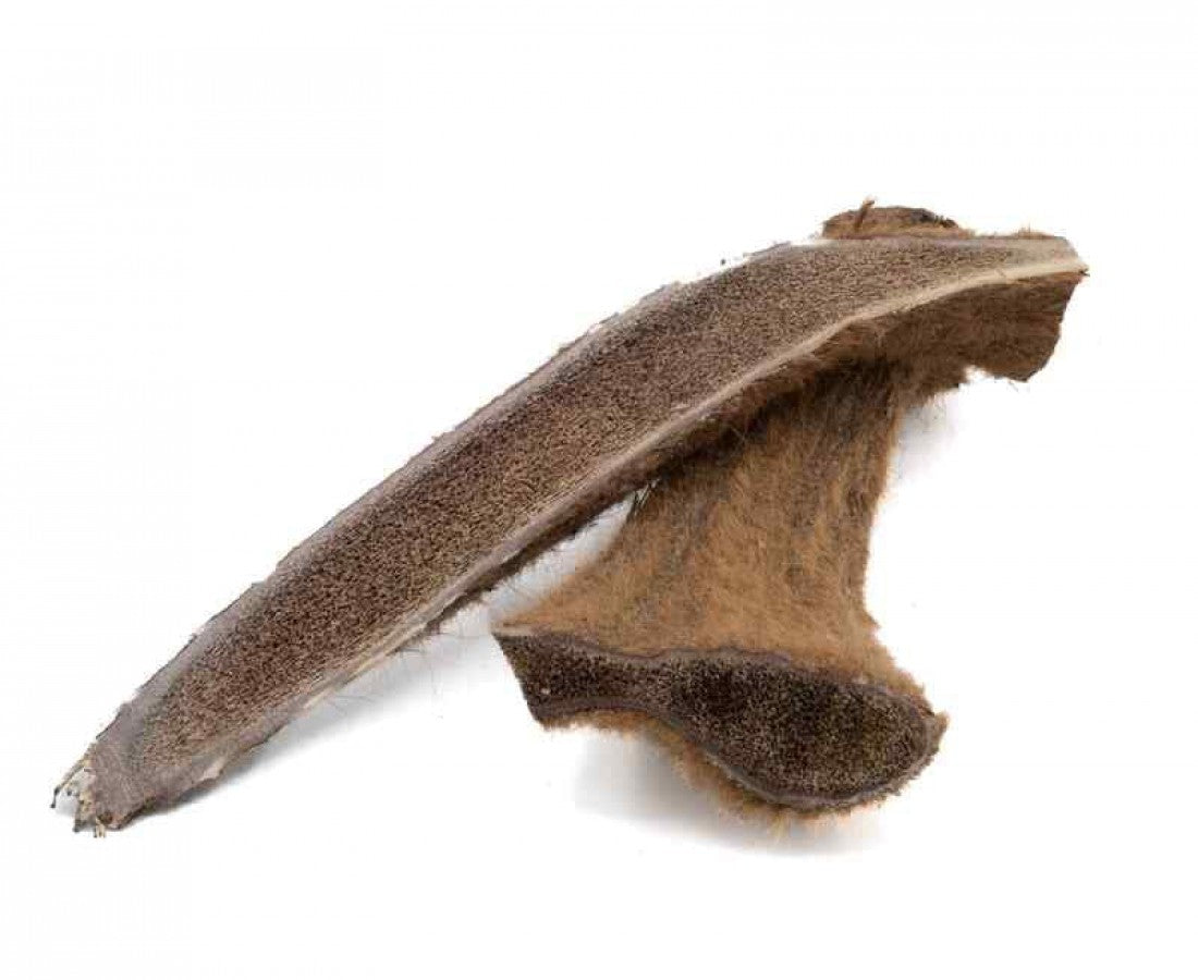 LocalID_64397 Furever Pure - Split ELK ANTLER (Velvet) Dog Chew - X-LARGE