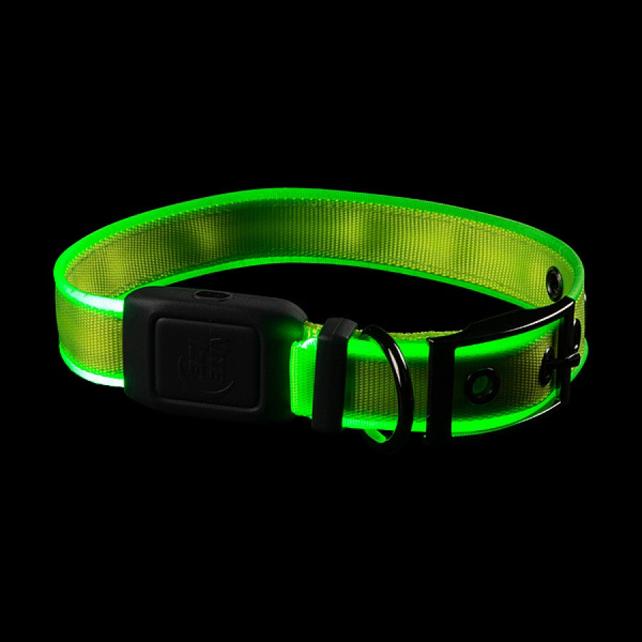LocalID_66561 Nite Ize - NiteDog Rechargeable LED Collar - LIME - MEDIUM