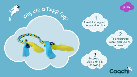 LocalID_70338 Company Of Animals - Coachi - Play Tuggi Tug - 145CM (57in)