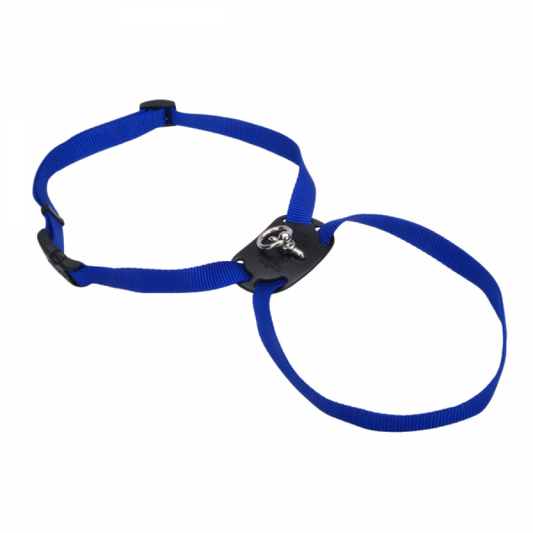 *DISC* Coastal - Size Right Adjustable Nylon Harness Blue - 1x30-38IN