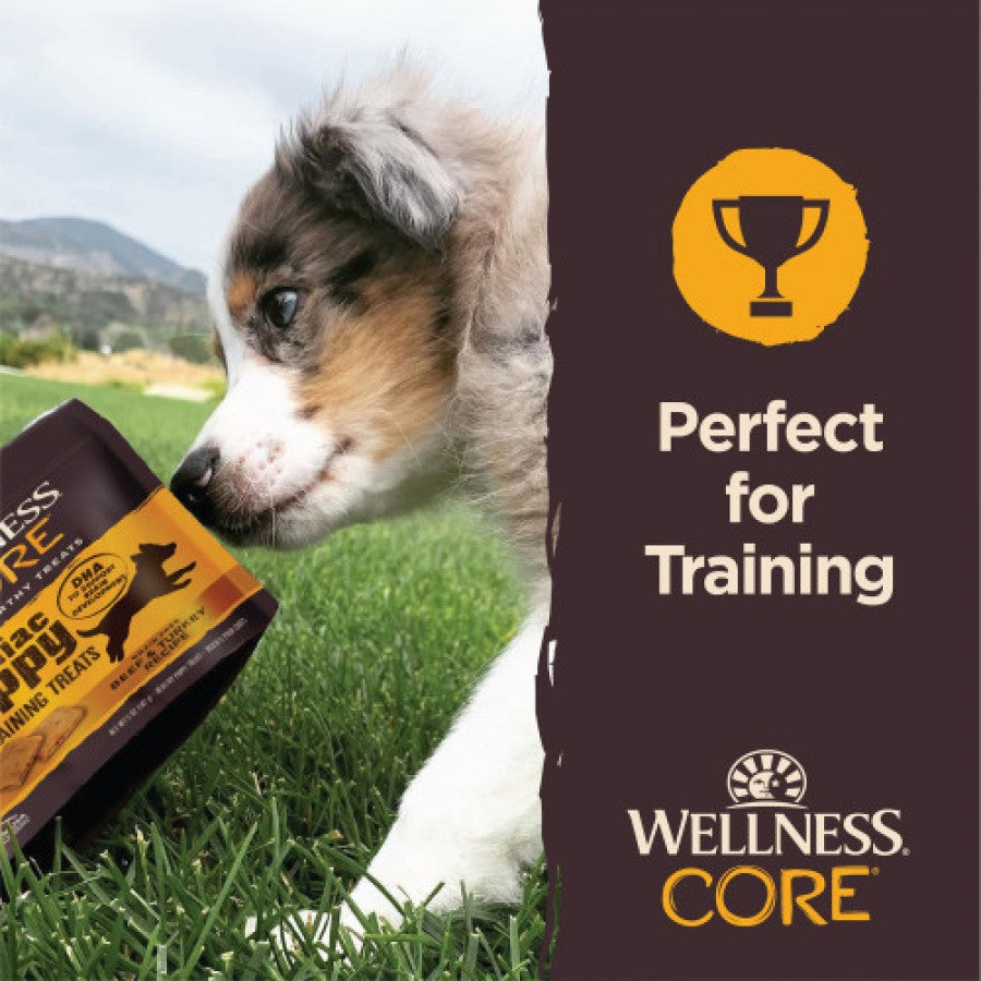 Wellness - Brainiac Puppy BEEF and TURKEY Soft Training Dog Treats - 142GM (5oz)