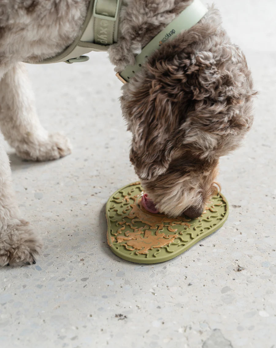 LocalID_66429 Dexypaws - AVOCADO Dog Lick Mat - 25CM (10in)
