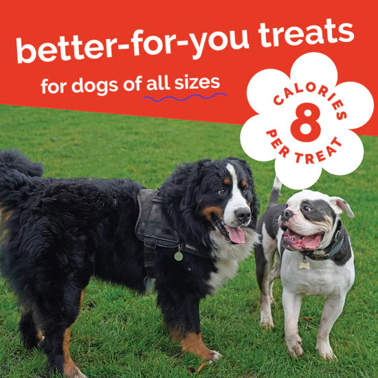 LocalID_71427 Fruitables - CRISPY BACON and APPLE Crunchy Dog Treats - 198GM (7oz)