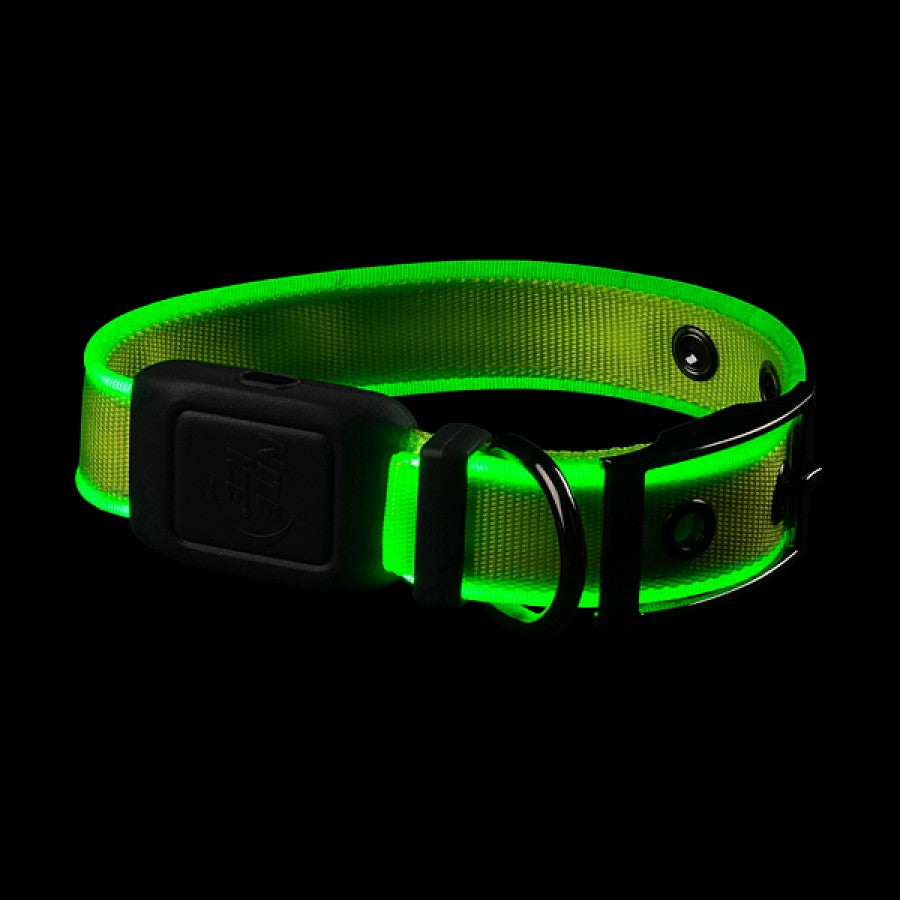 LocalID_66566 Nite Ize - NiteDog Rechargeable LED Collar - LIME - SMALL