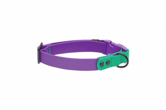 LocalID_70682 RC Pets - Waterproof Collar - PURPLE PARAKEET - MEDIUM - 1 x 12-20in