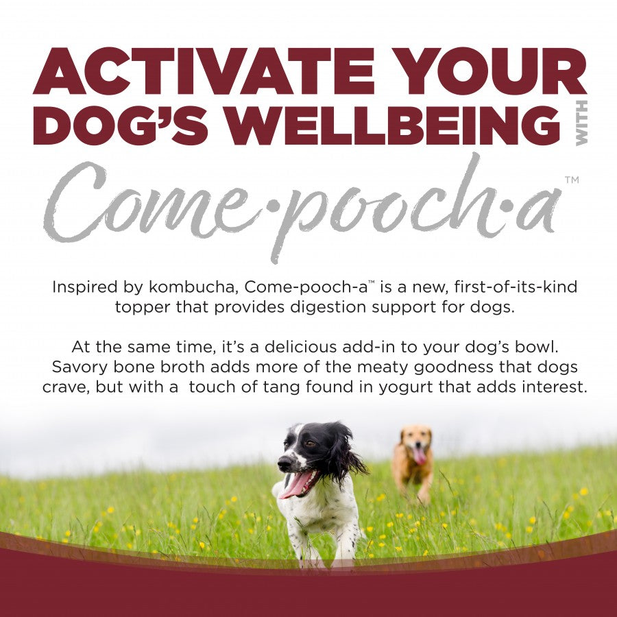 LocalID_71007 NutriSource - Come-Pooch-A BEEF BONE BROTH Dog Topper - 354ML (12oz)