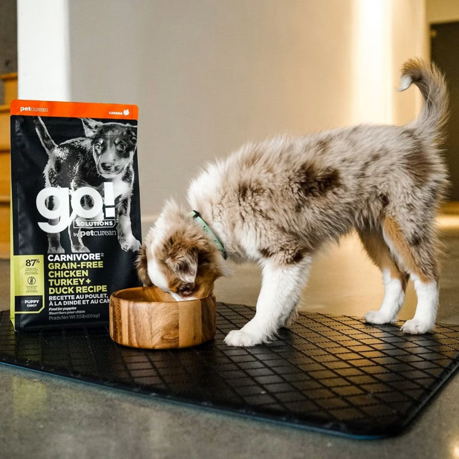LocalID_67649 Petcurean - GO! Carnivore GF CHICKEN TURKEY DUCK Dry PUPPY Food - 5.4KG (12lb)