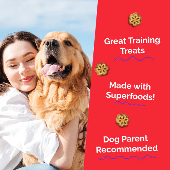 LocalID_71496 Fruitables - Skinny Minis APPLE BACON Chewy Dog Treats - 340GM (12oz)