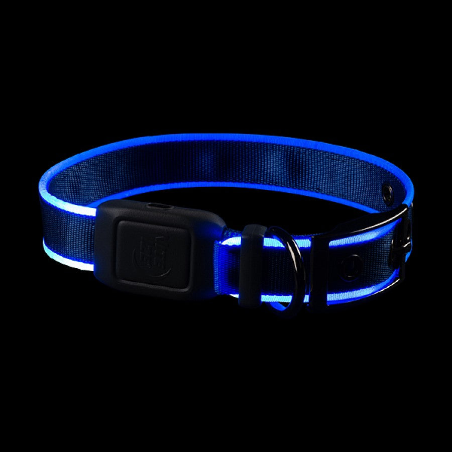 LocalID_66546 Nite Ize - NiteDog Rechargeable LED Collar - BLUE - MEDIUM