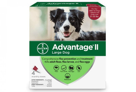 Bayer - K9 Advantage® II Large Dog Once-A-Month Topical Flea Treatment - 11 to 25KG - 4 Doses