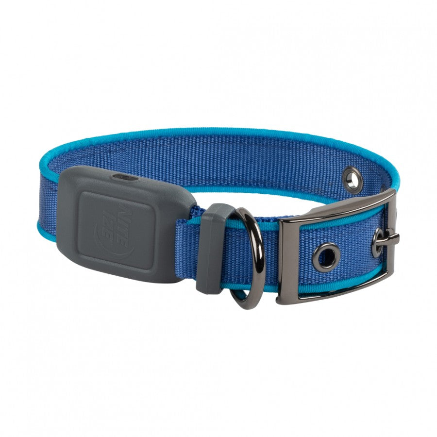 Nite Ize - NiteDog Rechargeable LED Collar - BLUE - LARGE - 50.8-61CM (20-24in)