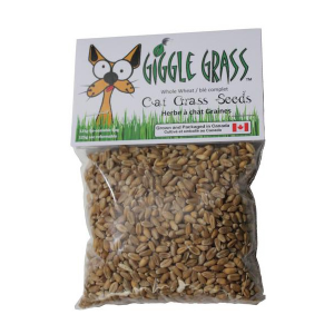 Giggle Grass - Oat Cat Grass Seeds - 125GM (.035oz)