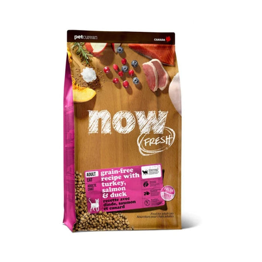 Petcurean - NOW TURKEY SALMON & DUCK Adult Dry Cat Food