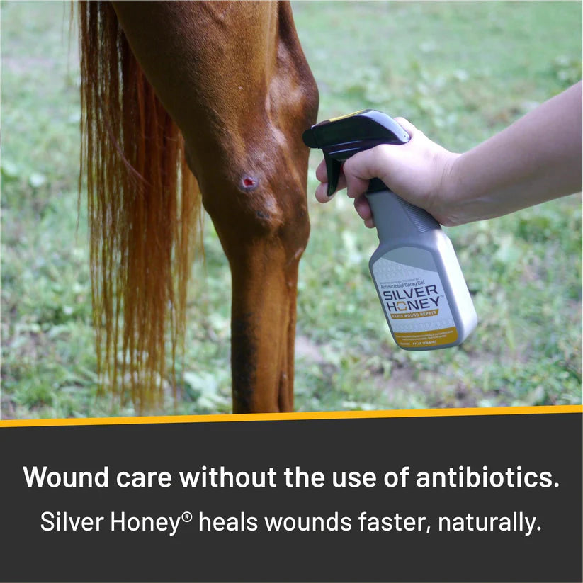 Absorbine - Silver Honey Wound Care Spray Gel - 236.6ML (8oz)