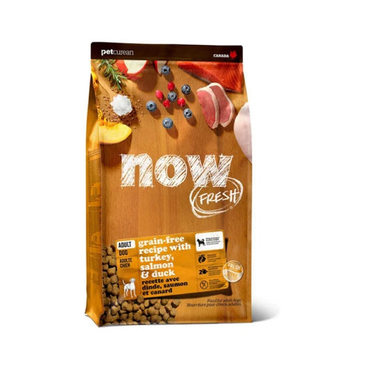 Petcurean - NOW TURKEY SALMON DUCK ADULT Dry Dog Food