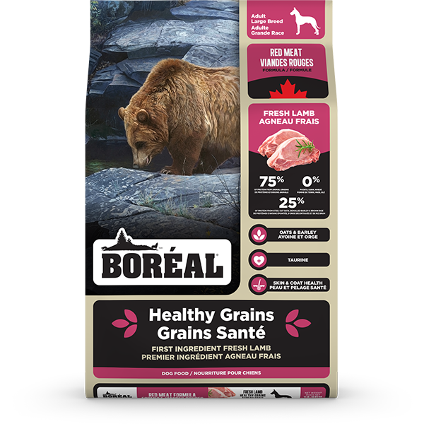 Boreal, Healthy Grains Large Breed RED MEAT Dry Dog Food, 13.6KG (30lb)