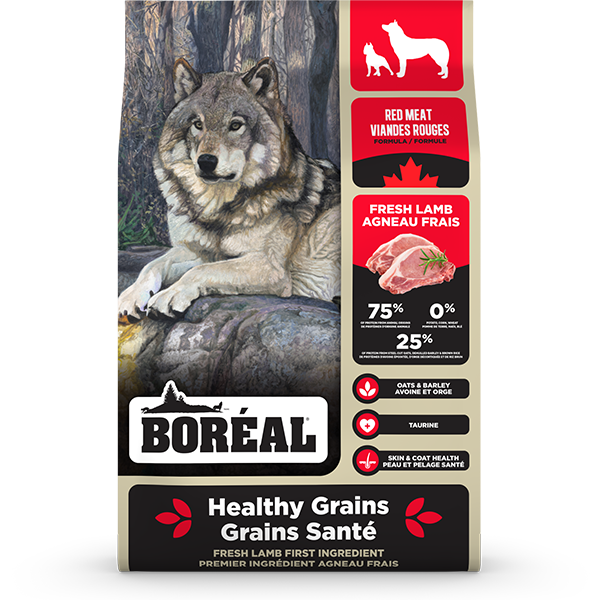 Boreal, Healthy Grains Red Meat Dry Dog Food, 10KG (22lb)