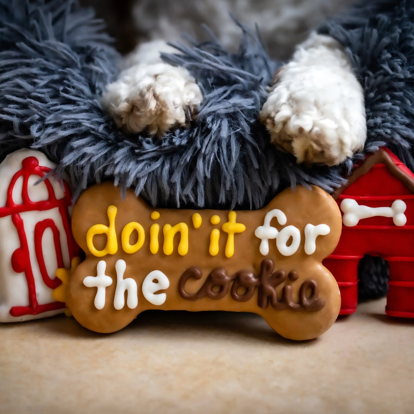Bosco and Roxy's - DOIN' IT FOR THE COOKIE Dog Treat - CANINE CLASSICS - 15CM (6in) (BULK)