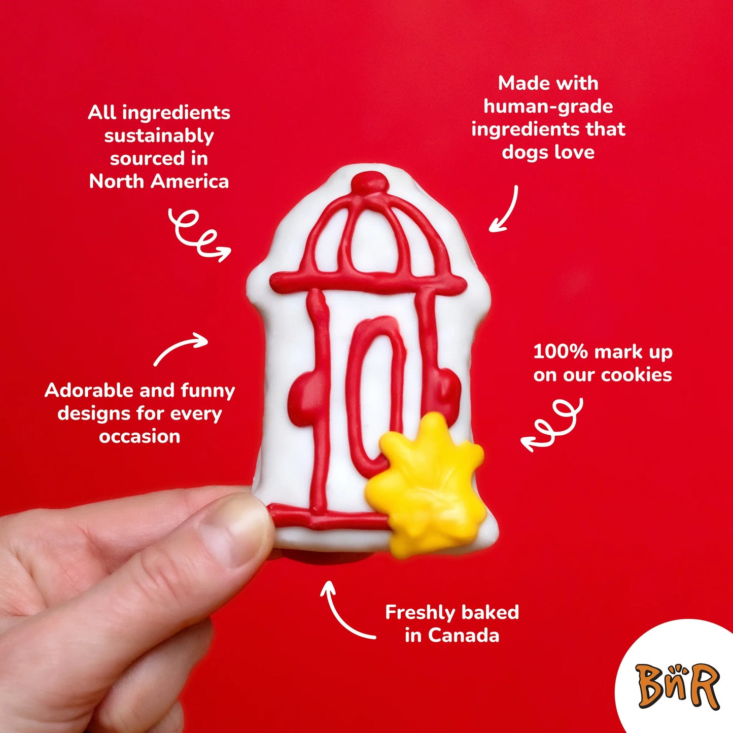 Bosco and Roxy's - DOIN' IT FOR THE COOKIE Dog Treat - CANINE CLASSICS - 15CM (6in) (BULK)