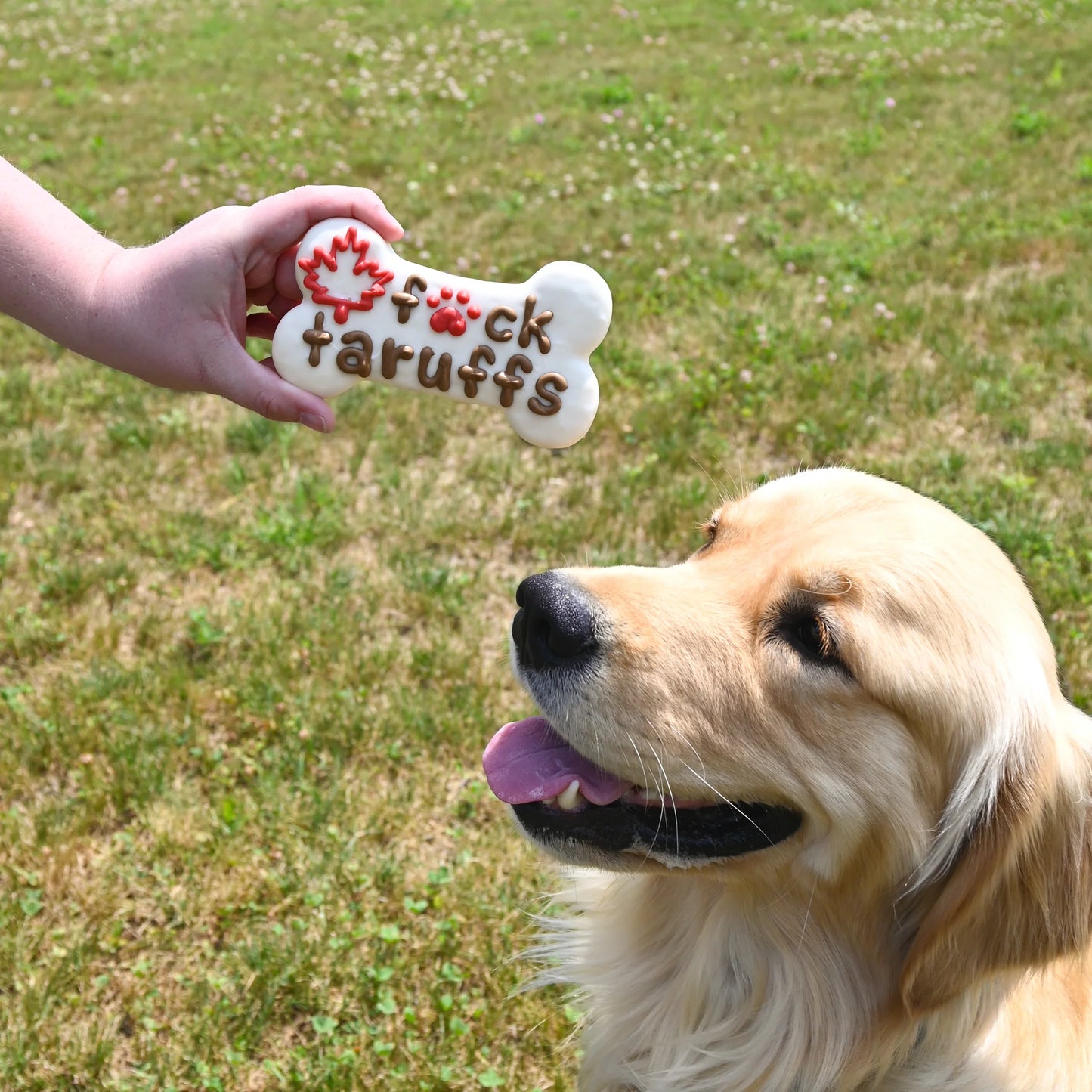 Bosco and Roxy's - F*CK TARUFFS Bone Dog Treat - F*CK TARUFFS - 15CM (6in)