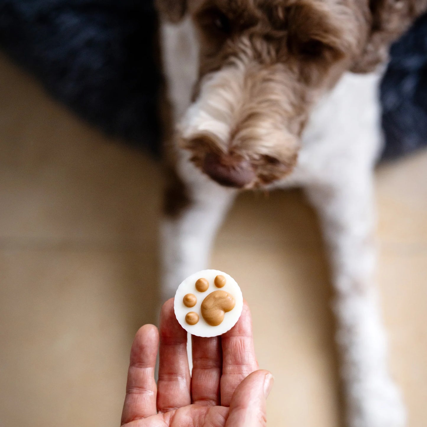Bosco and Roxy's - PEANUT BUTTER FLAVOURED TREAT CUPS Dog Treat - CANINE CLASSICS - 4CM (1.5in)